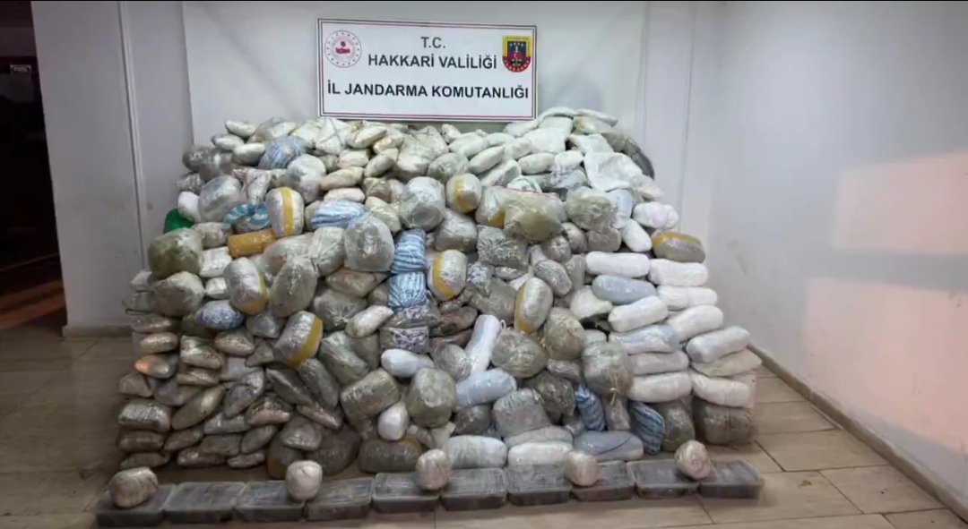 I M G 20260127 083052