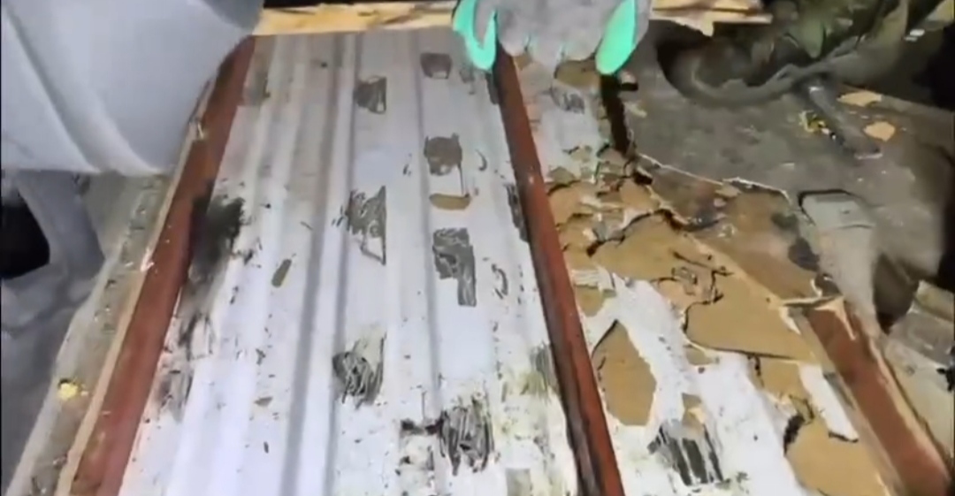 I M G 20260129 014318