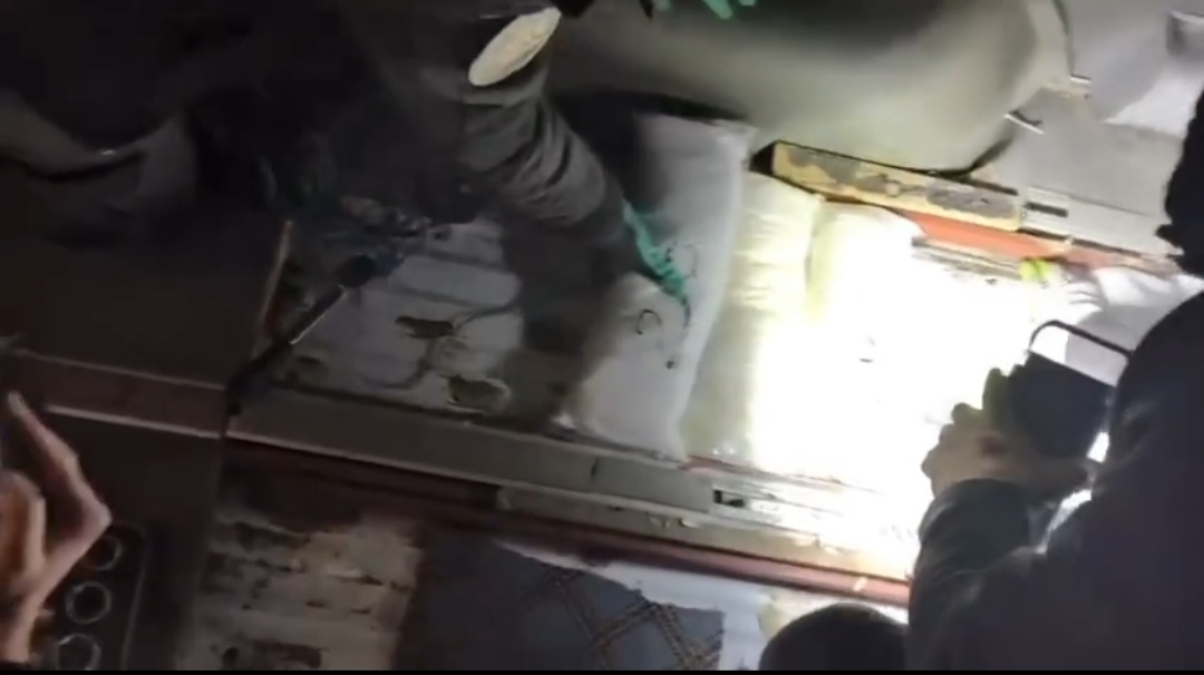 I M G 20260129 014342