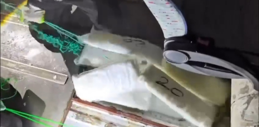 I M G 20260129 014354