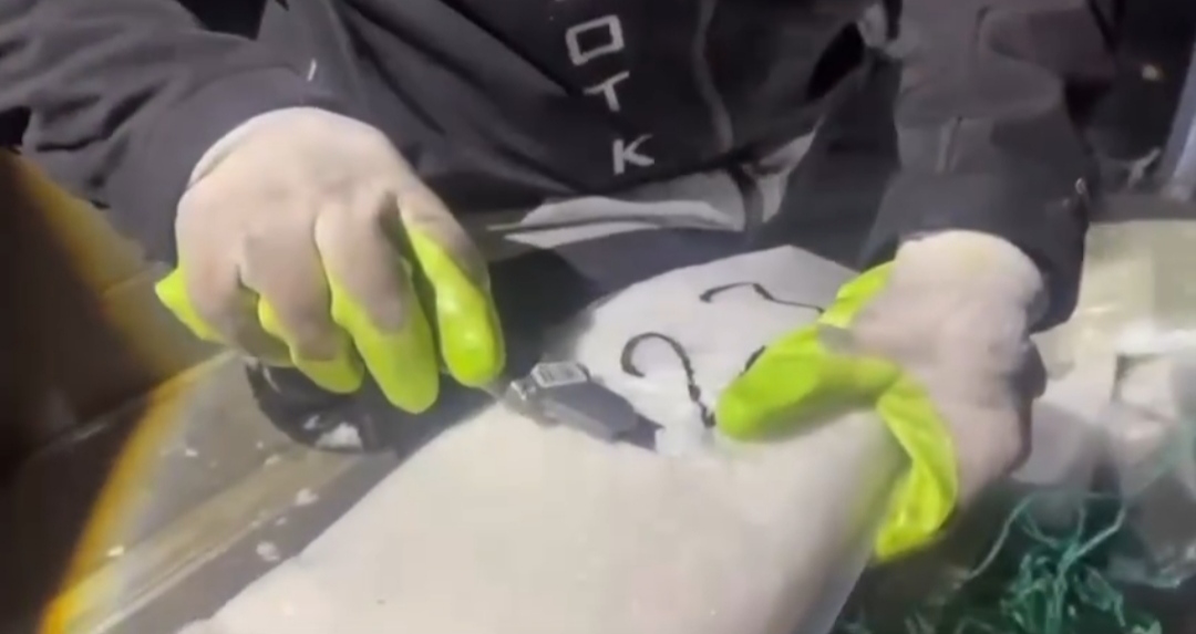 I M G 20260129 014416