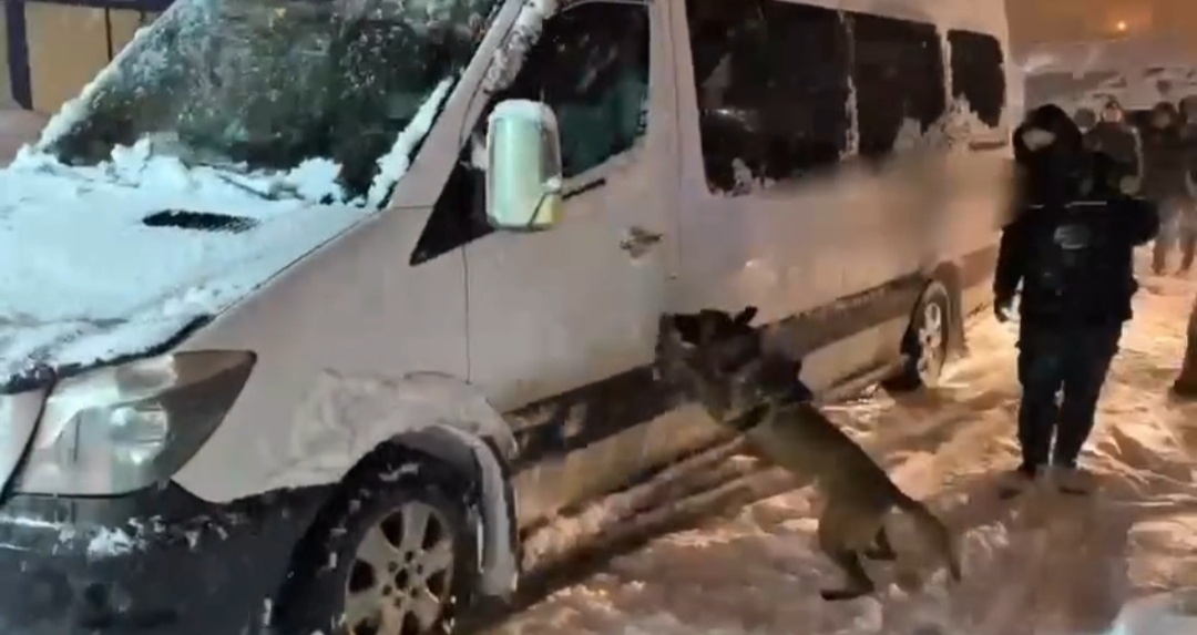 I M G 20260129 014434