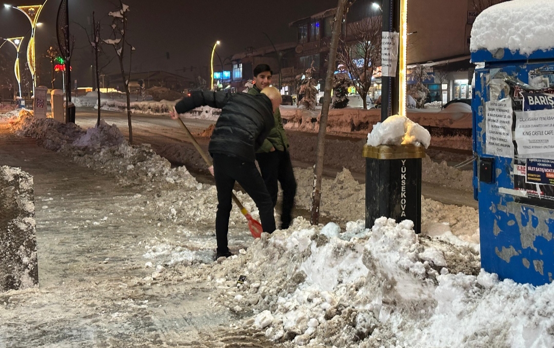 I M G 20260129 224136-1