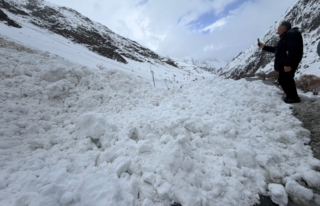 I M G 20260201 111504