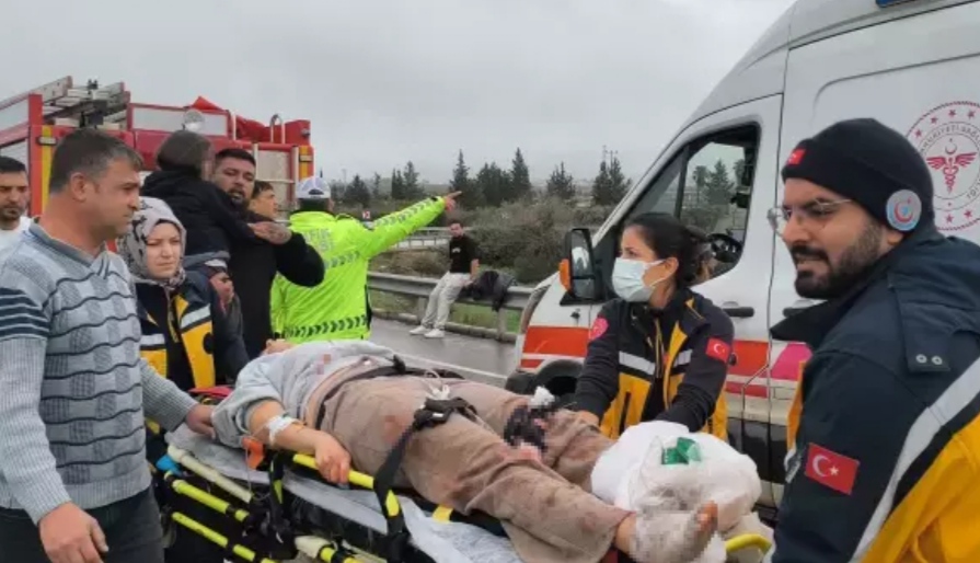 I M G 20260201 115058