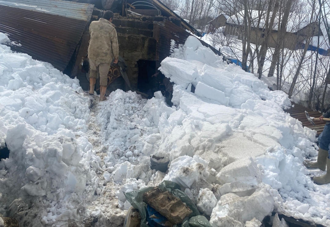 I M G 20260201 153134