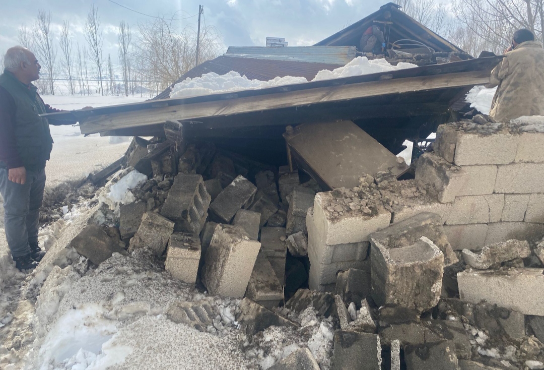 I M G 20260201 153155