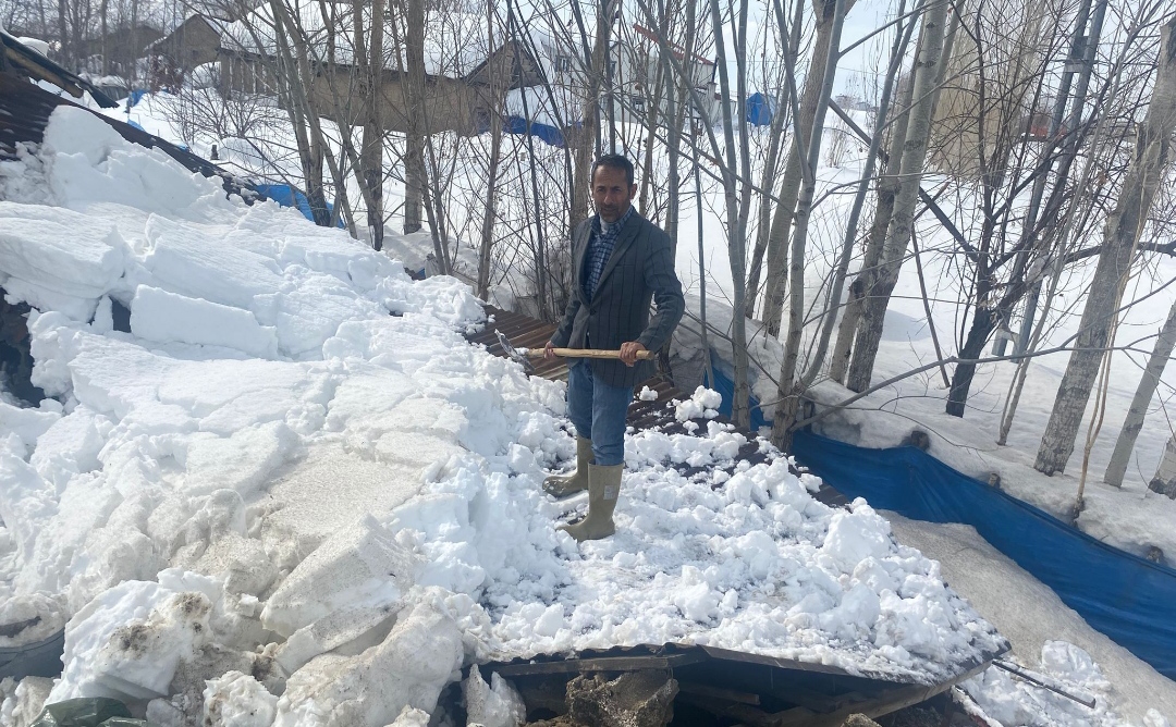 I M G 20260201 153210