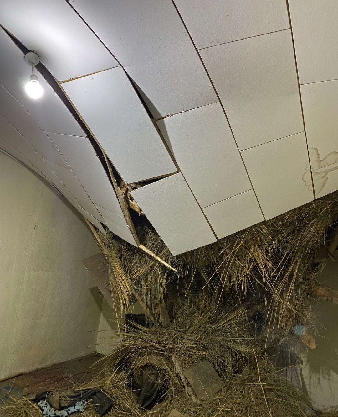 I M G 20260202 211800