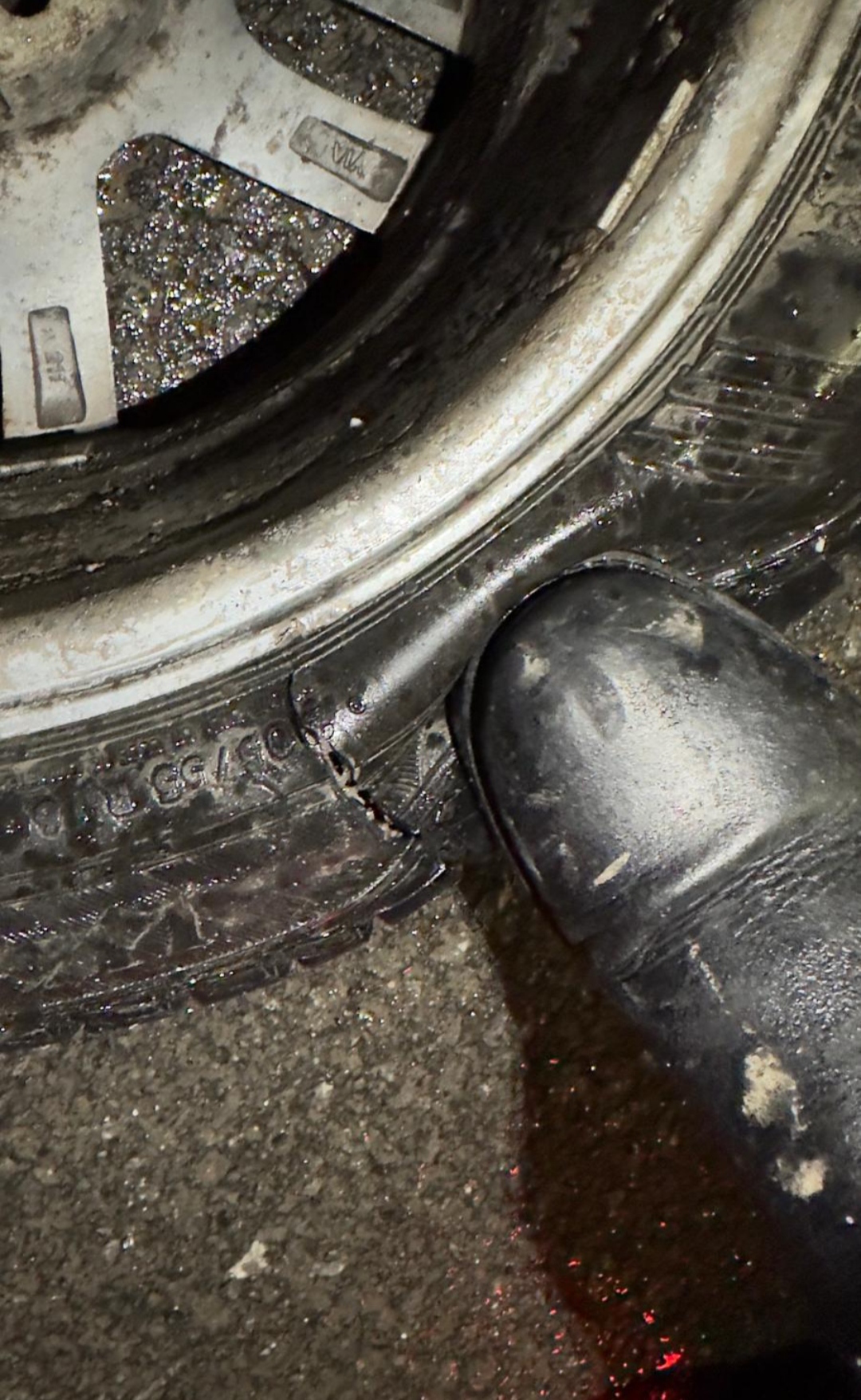 I M G 20260203 004907