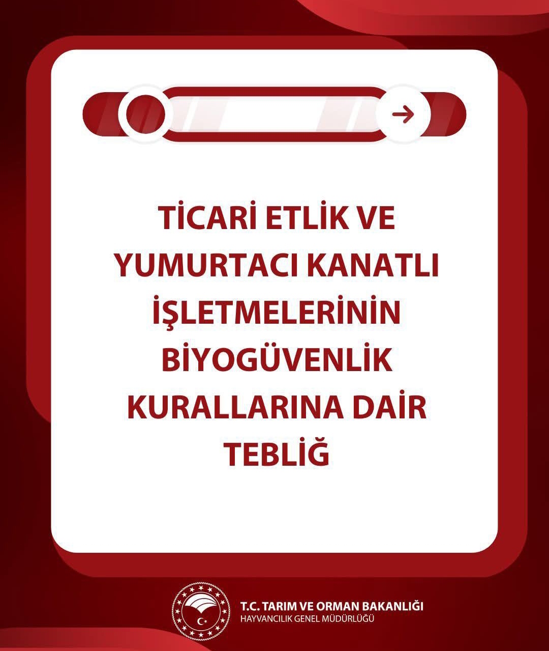 I M G 20260205 094232