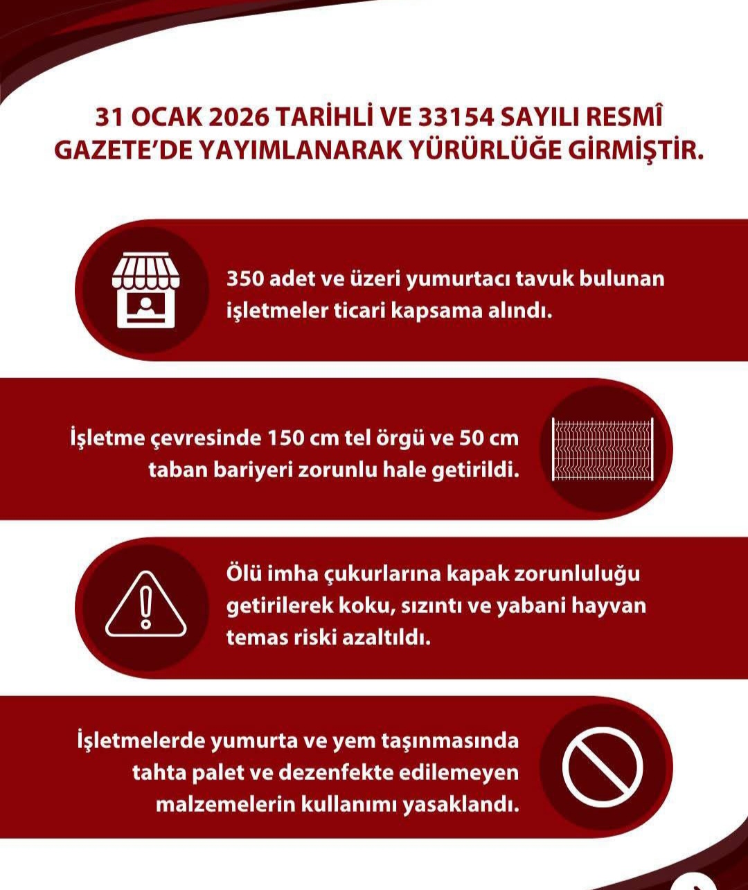 I M G 20260205 094336