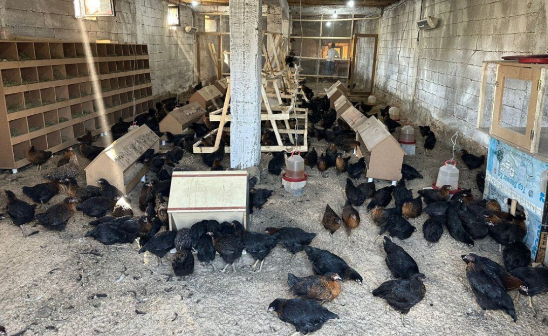 I M G 20260205 094531