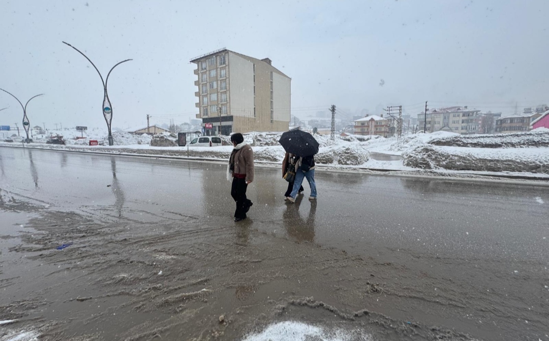 I M G 20260207 112913