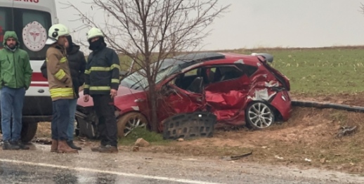 I M G 20260208 073821