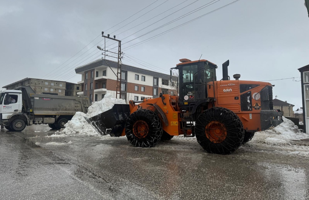 I M G 20260210 225347