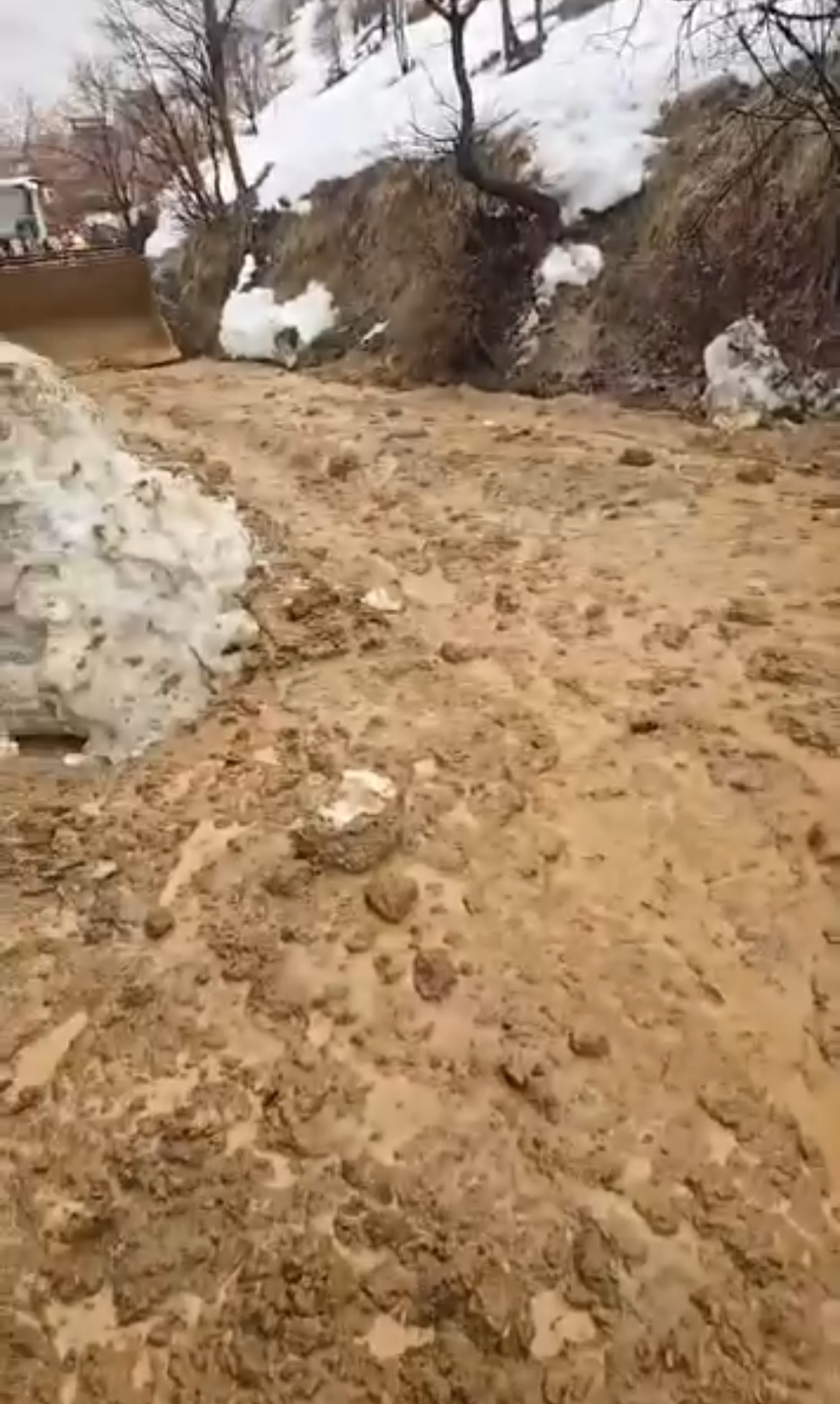 I M G 20260211 222405