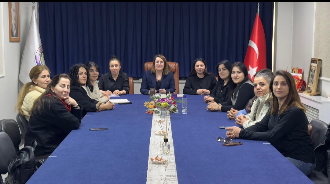 I M G 20260219 195613