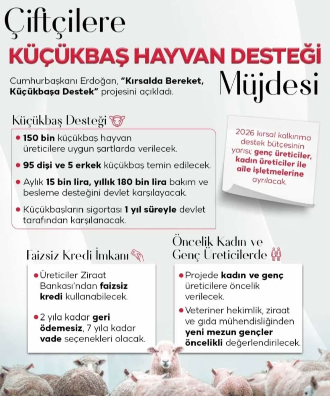 I M G 20260222 103204