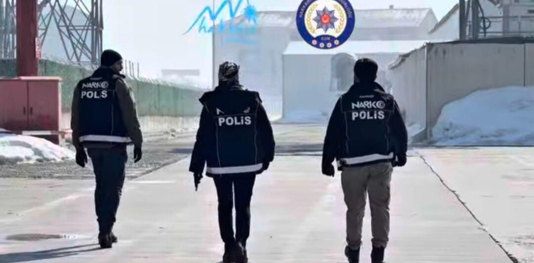 I M G 20260225 193219