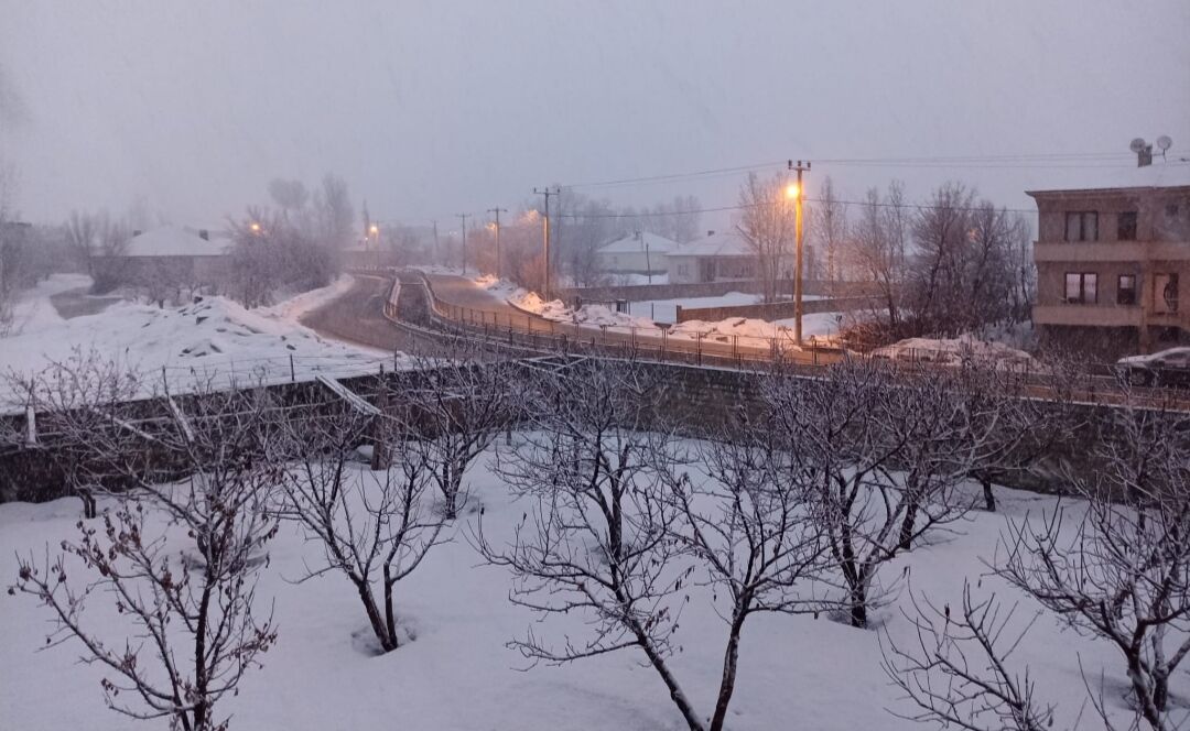 I M G 20260226 181630