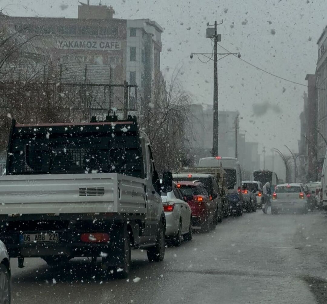 I M G 20260226 183202