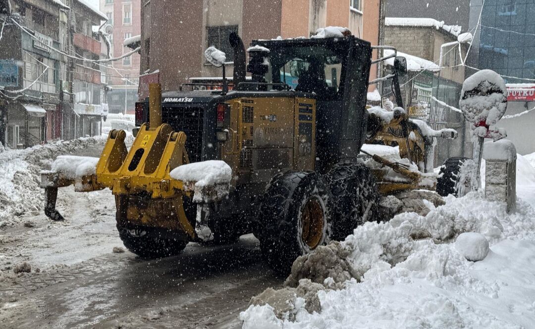 I M G 20260227 101944