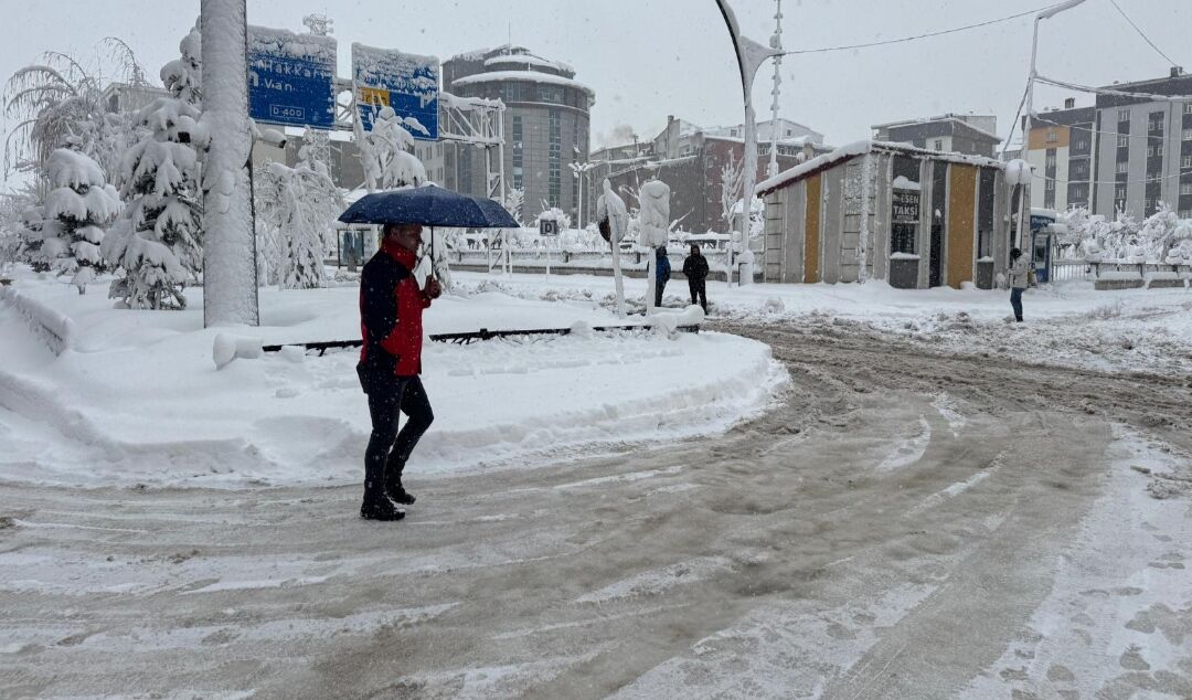 I M G 20260227 102141