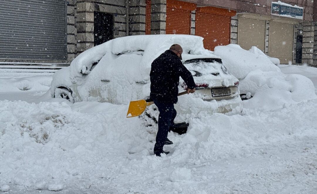 I M G 20260227 102202