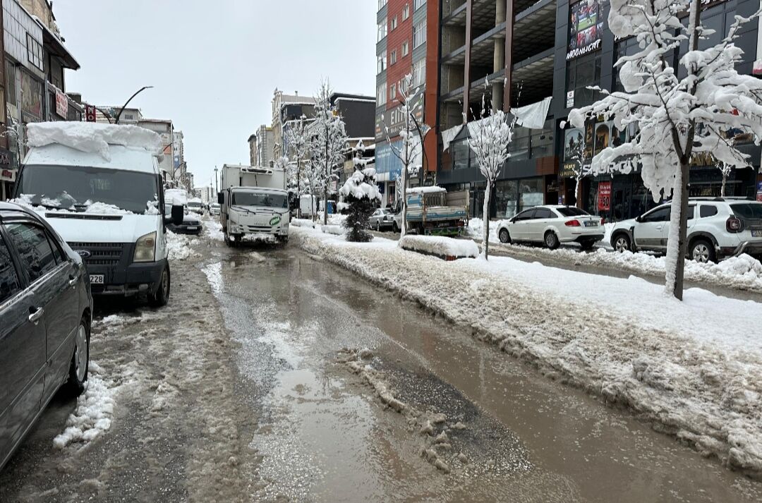 I M G 20260227 131312