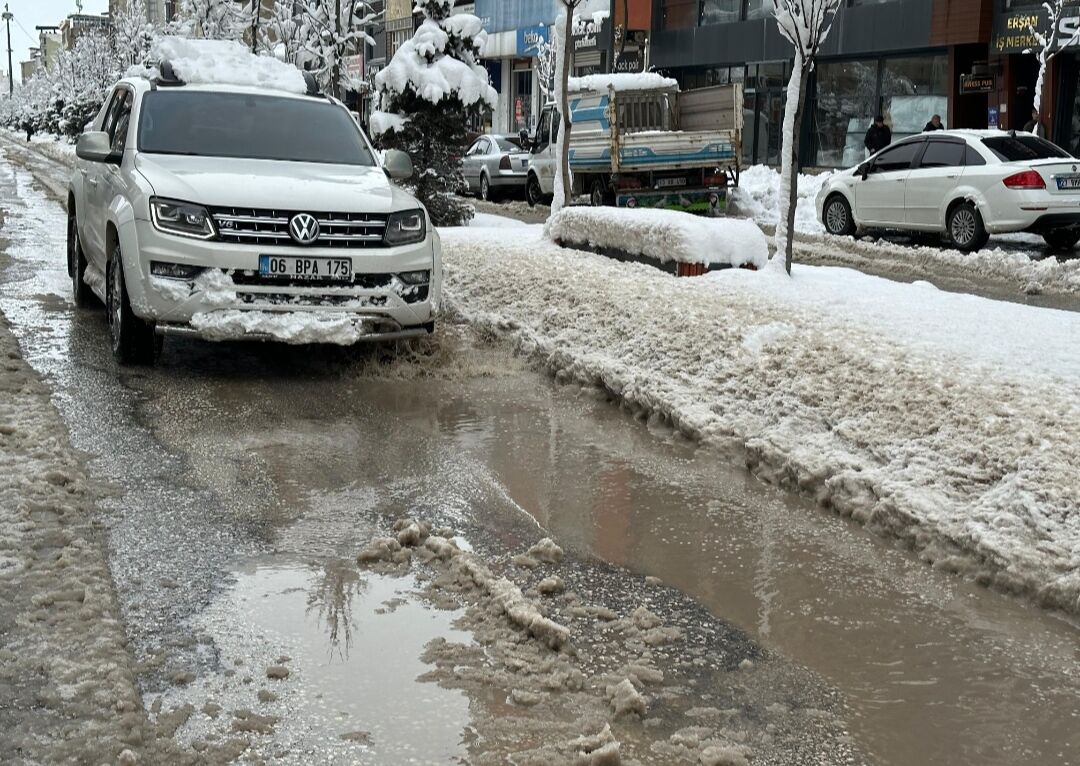 I M G 20260227 131333