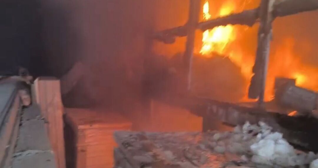 I M G 20260227 131620