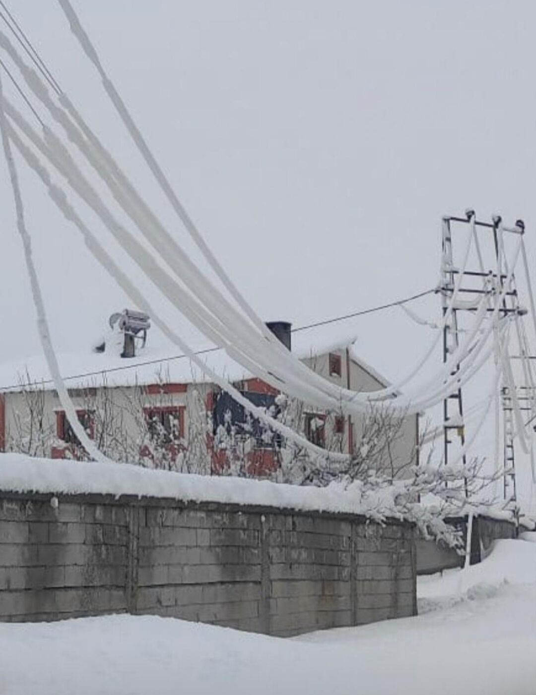 I M G 20260227 143534