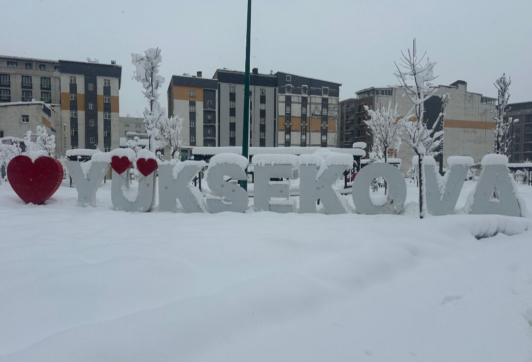 I M G 20260227 152657