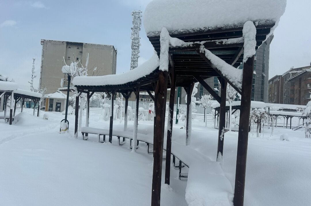 I M G 20260227 152714