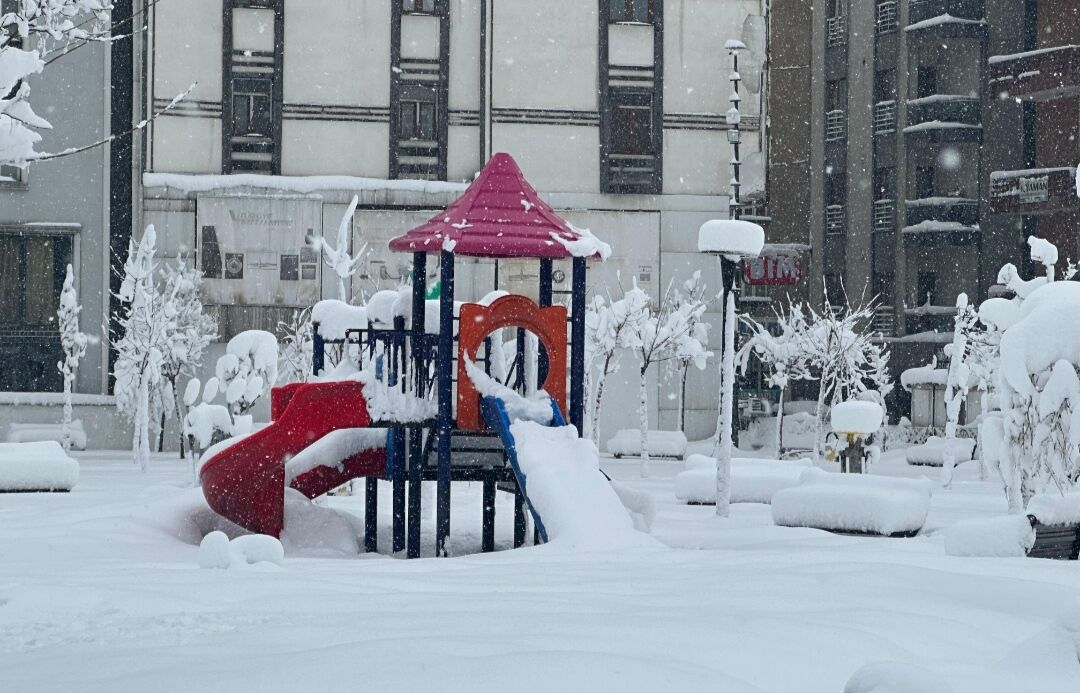 I M G 20260227 152725