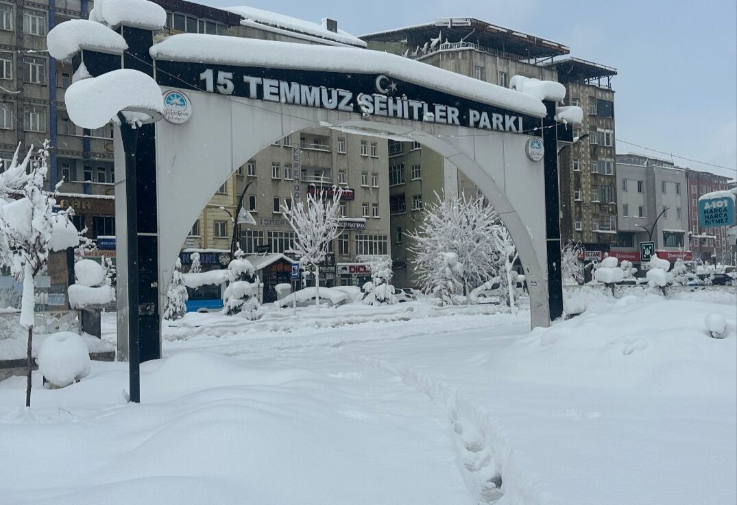 I M G 20260227 152736