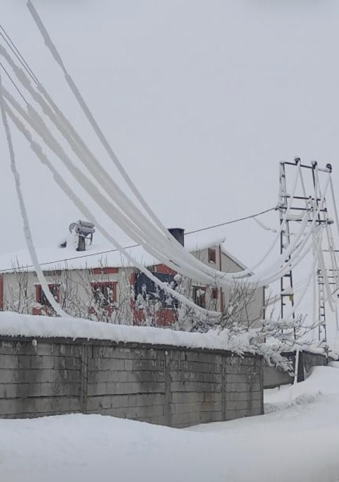 I M G 20260227 W A0084