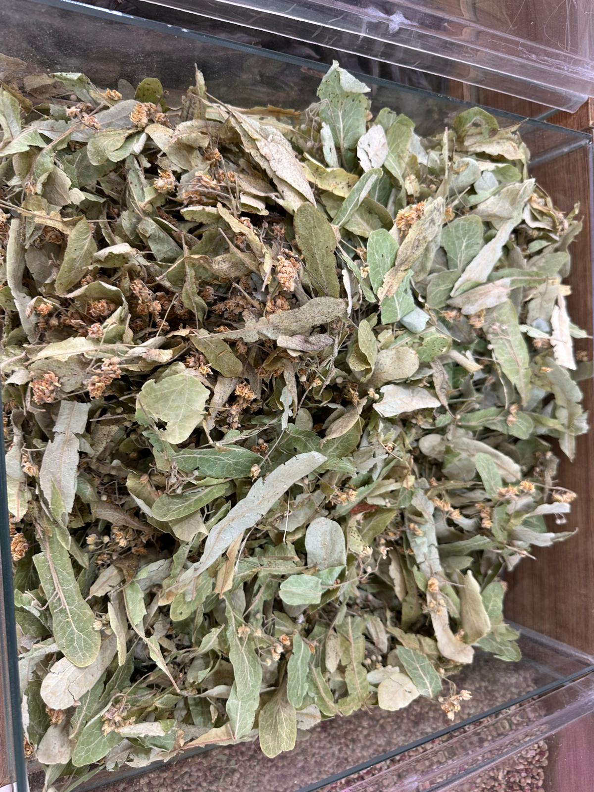 Whatsapp Image 2026 02 14 At 16.36.00