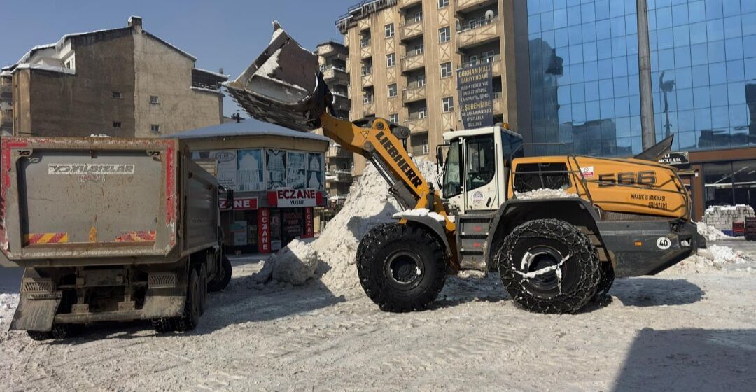 I M G 20260301 145746