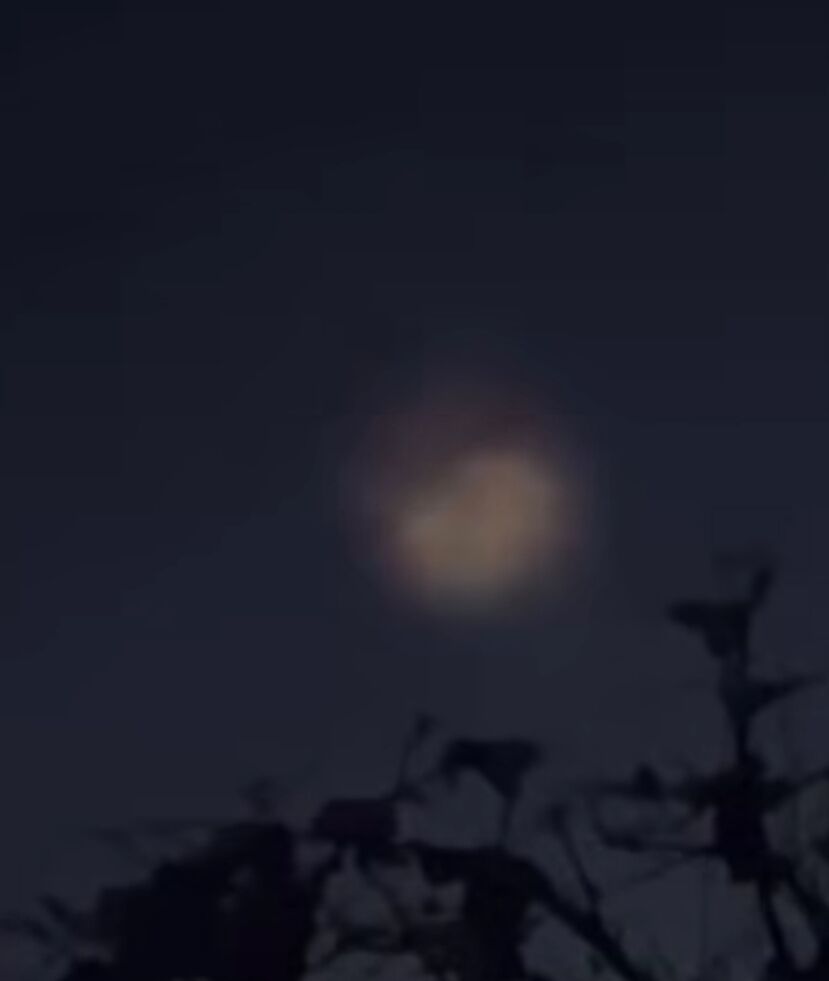 I M G 20260301 170512