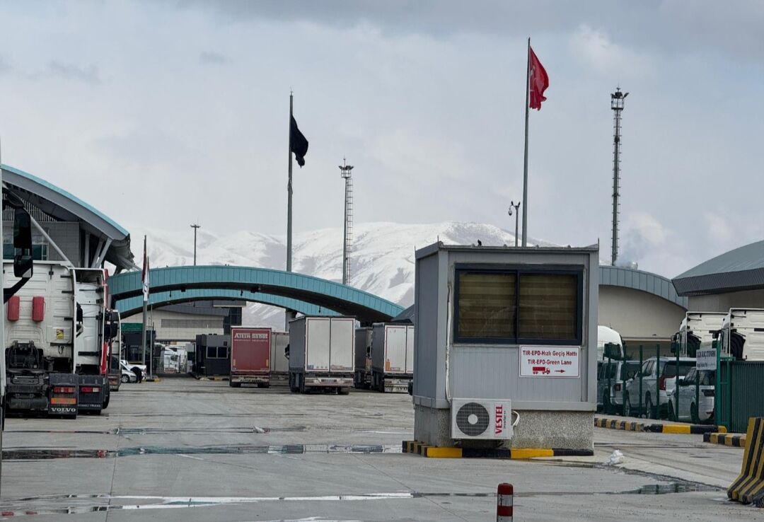 I M G 20260302 151954