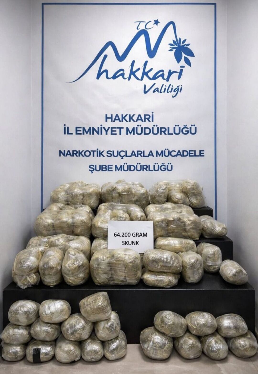 I M G 20260310 193329