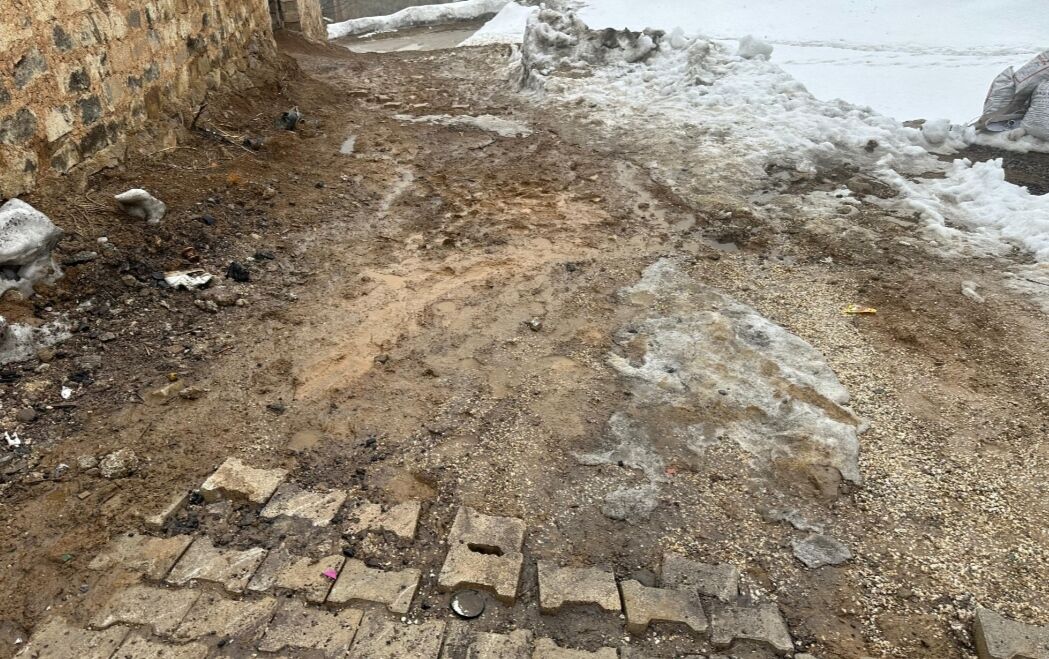 I M G 20260315 123214