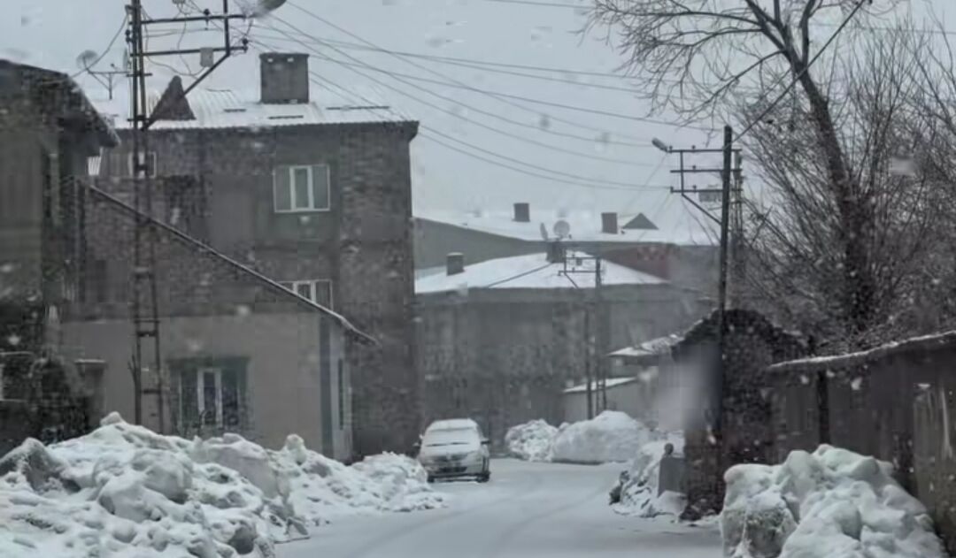 I M G 20260315 142659