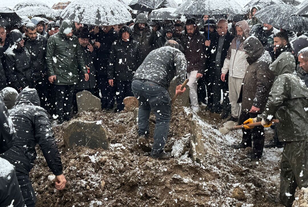 I M G 20260315 164649