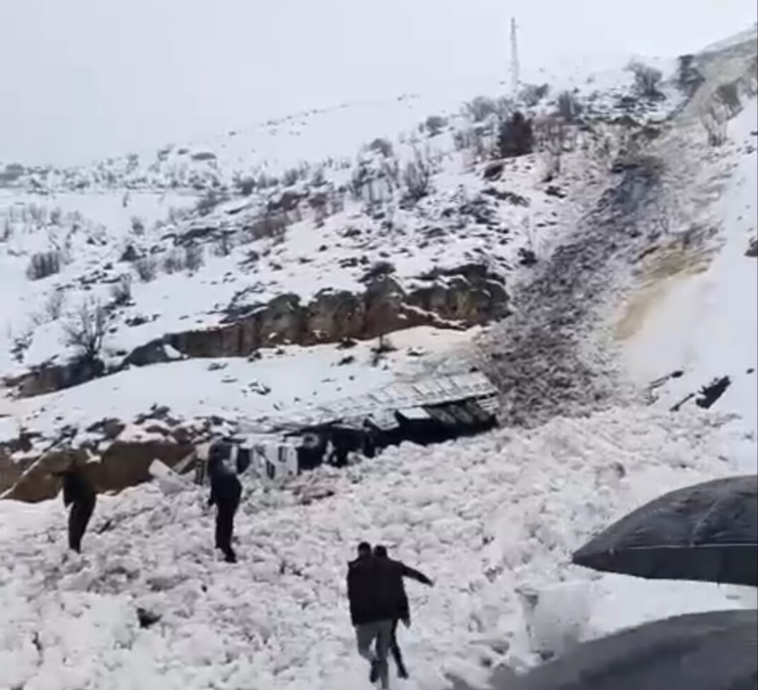 I M G 20260315 164814