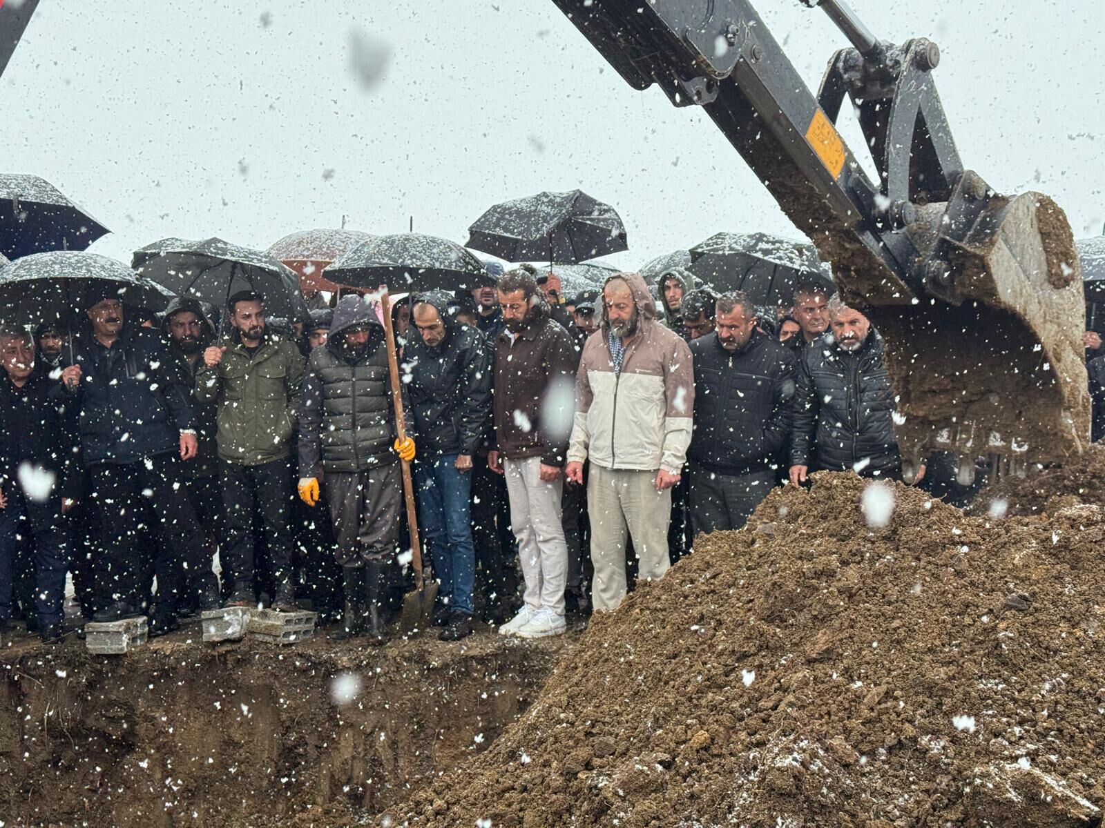 I M G 20260315 W A0022