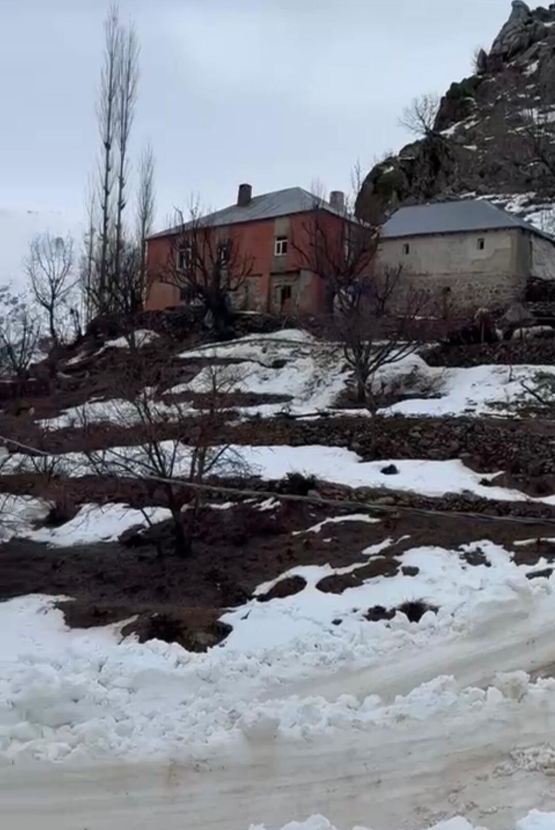 I M G 20260322 214352