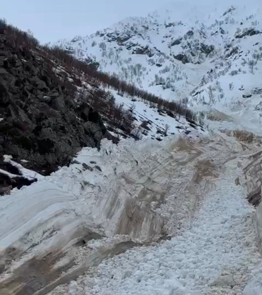 I M G 20260322 214403